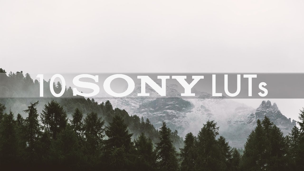 sony lut download